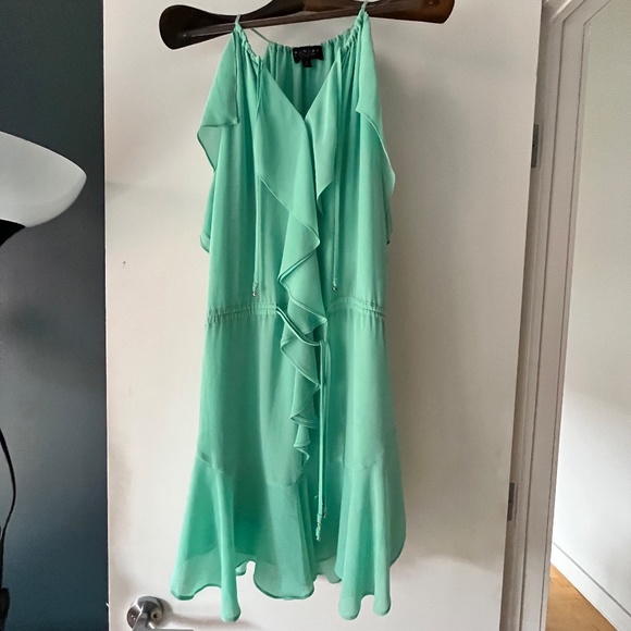 LAUNDRY BY SHELLI SEGAL Ruffled dress (NWOT) - Picture 7 of 15